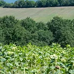 Tenuta Di Campagna Con Piscina Immersa Nel * Montecastrilli