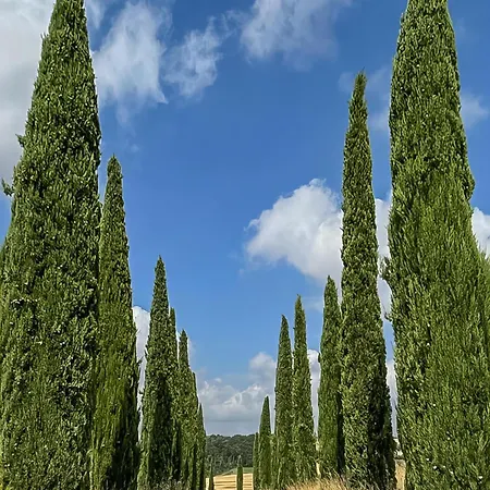 Casale Farnia * Montecastrilli