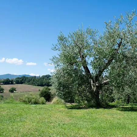 Villa Tenuta Di Campagna Con Piscina Immersa Nel *