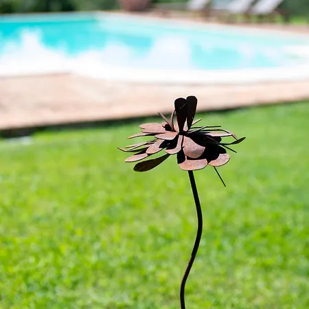 Tenuta Di Campagna Con Piscina Immersa Nel Villa *