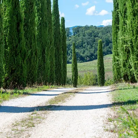 Tenuta Di Campagna Con Piscina Immersa Nel Villa Montecastrilli
