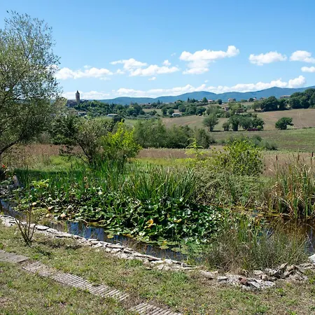 Tenuta Di Campagna Con Piscina Immersa Nel * Montecastrilli