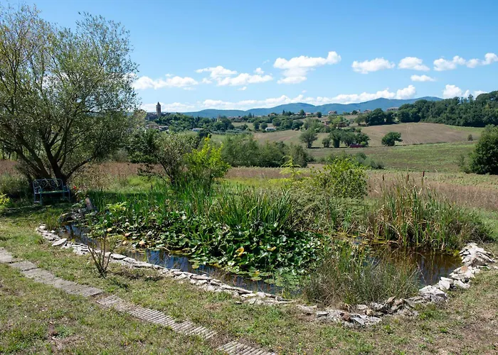 Tenuta Di Campagna Con Piscina Immersa Nel * Montecastrilli